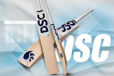 DSC English willow cricket bat with sizing chart