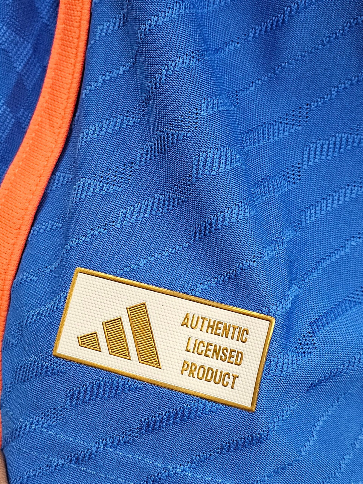 FW24 INDIA CRICKET T20 INTERNATIONAL FAN JERSEY