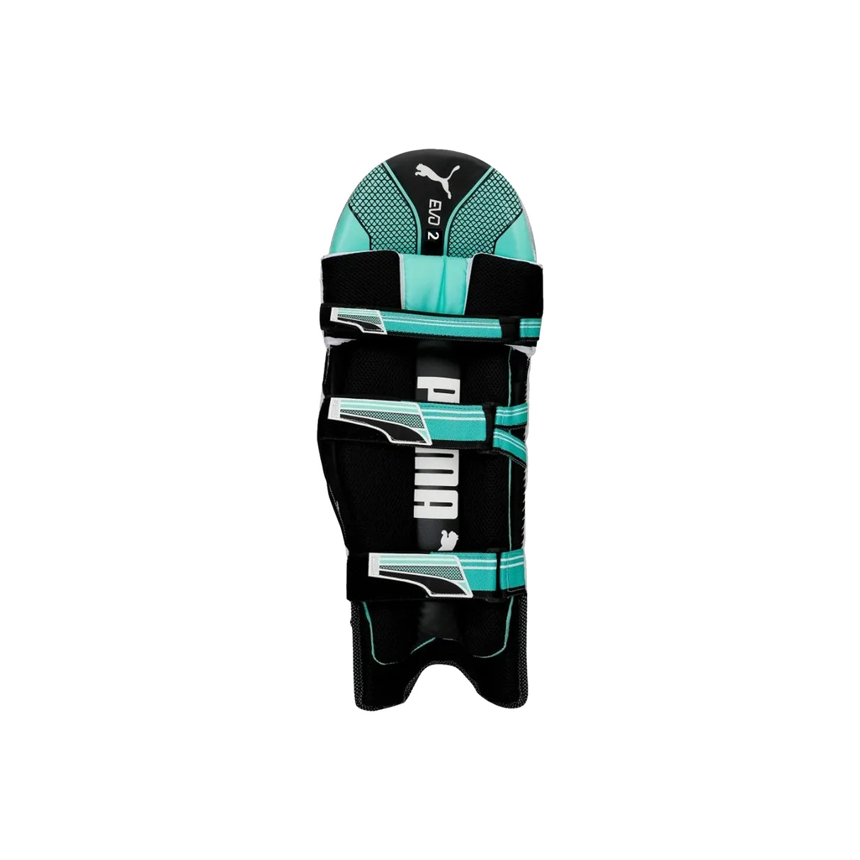 Puma EVO 1 Batting pad