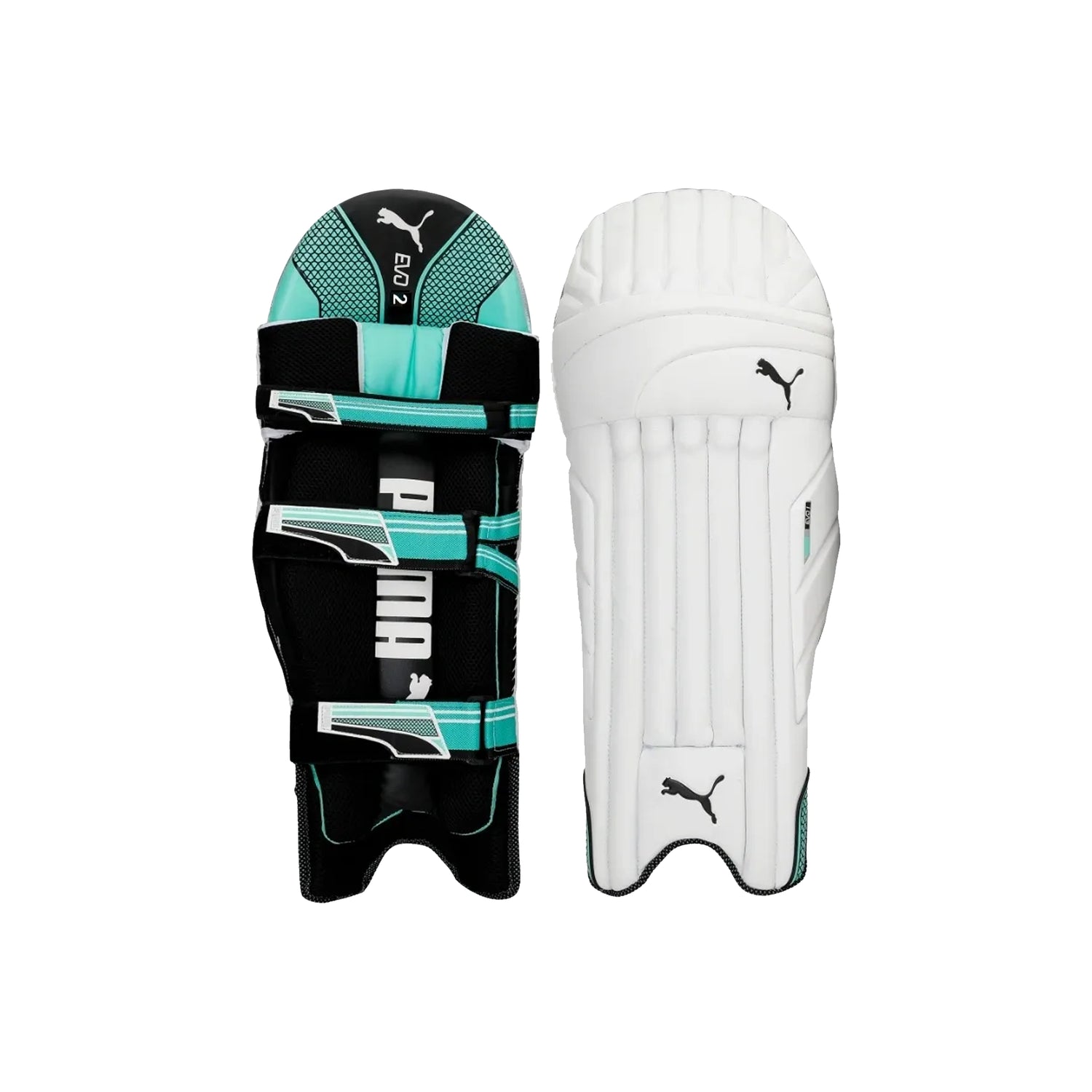 Puma EVO 1 Batting pad