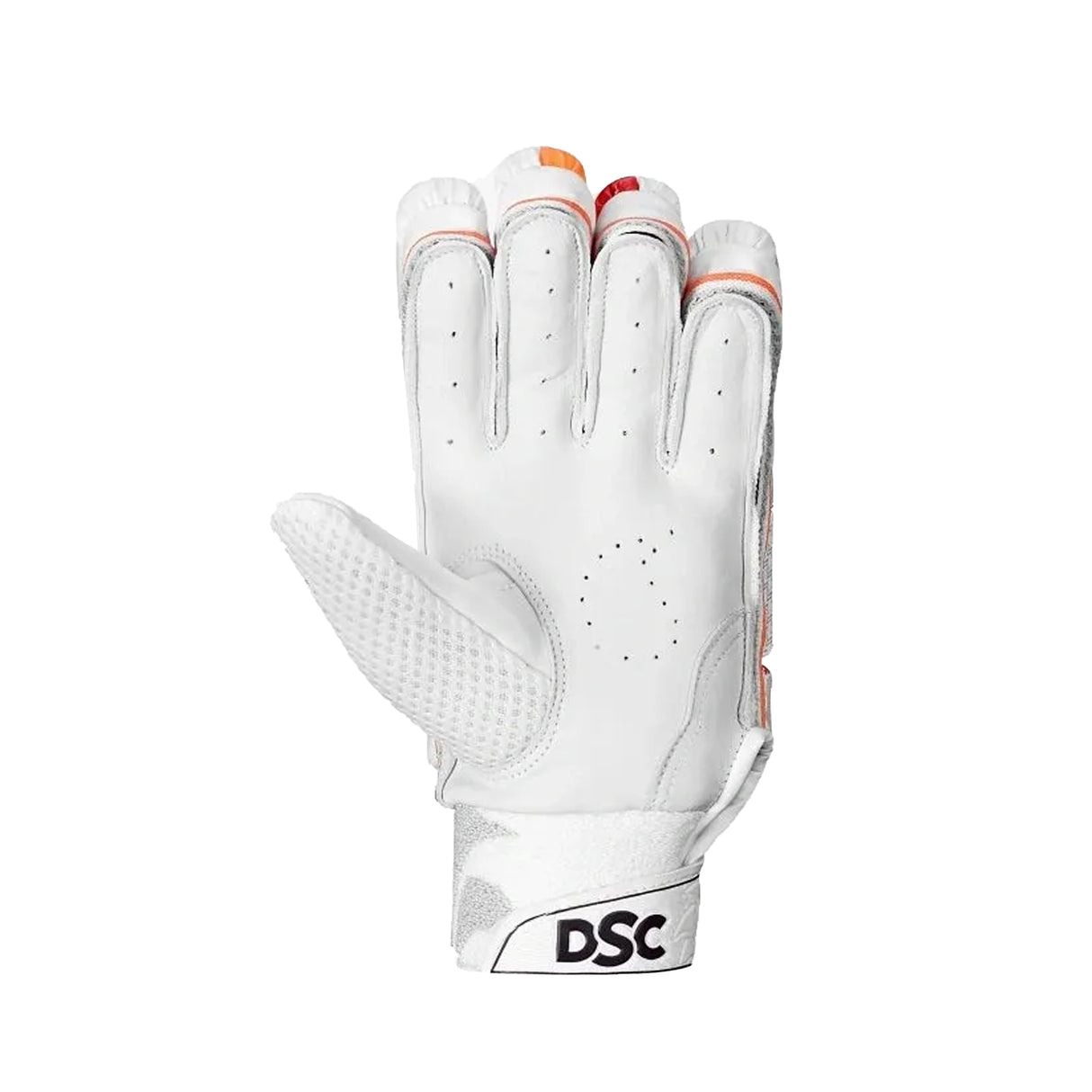 DSC Intense Shoc Batting Glvoes