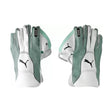 EVO 2 Wicket Keeper glove