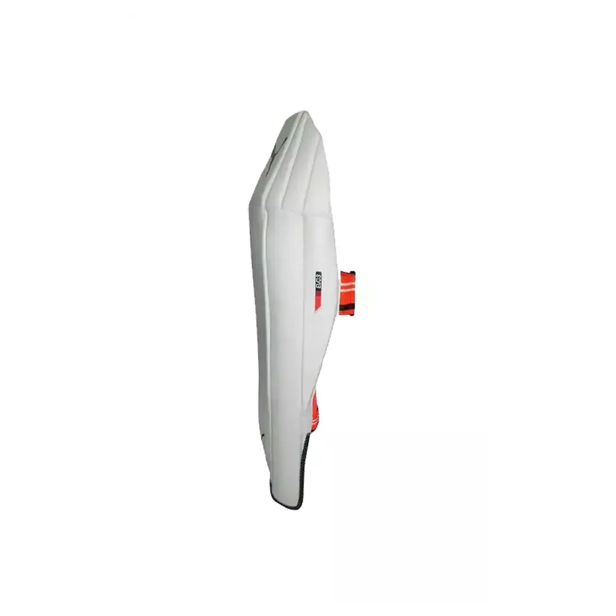 COUSSINETS DE GARDIEN DE BUT PUMA Evo 2