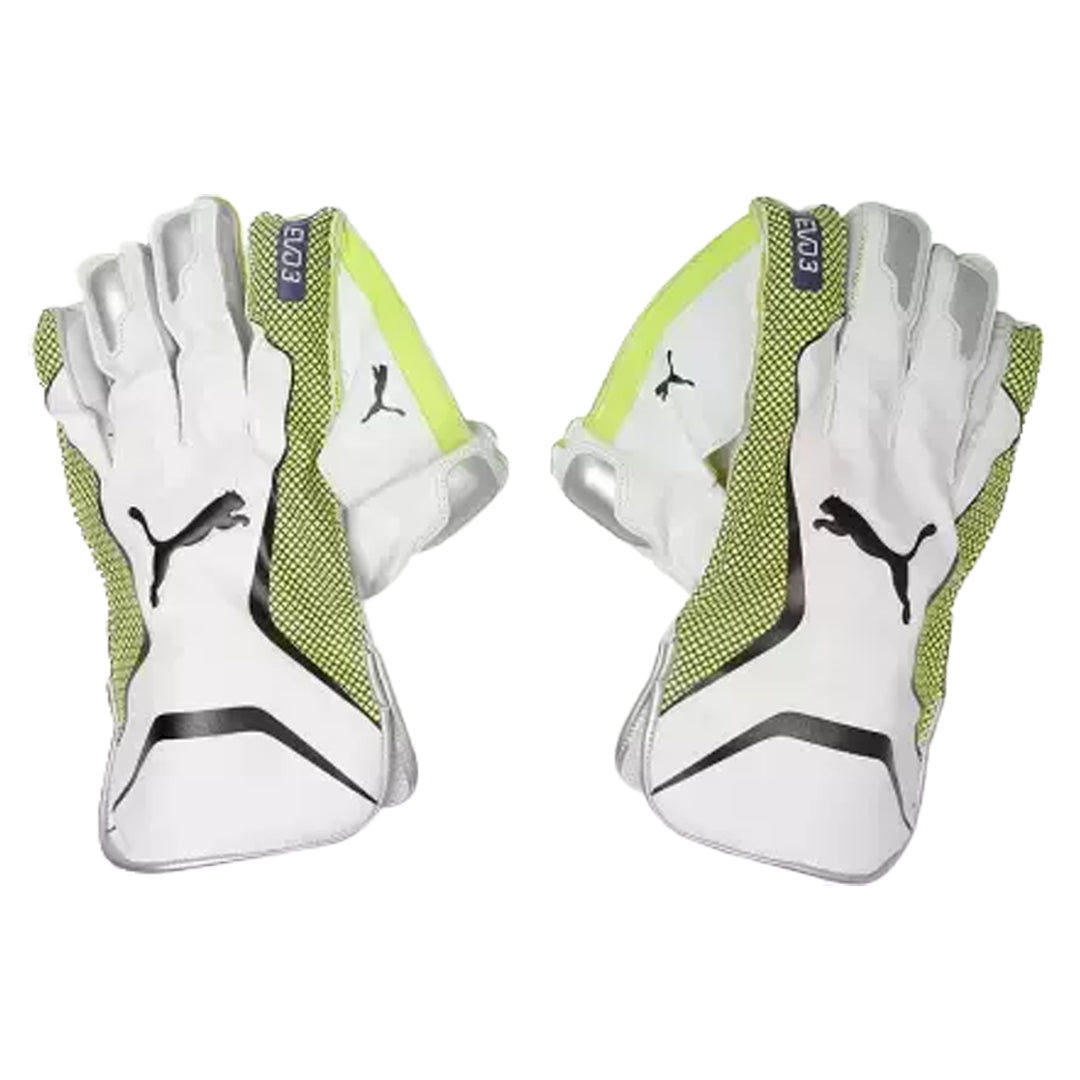 EVO 3 Wicket Keeper glove