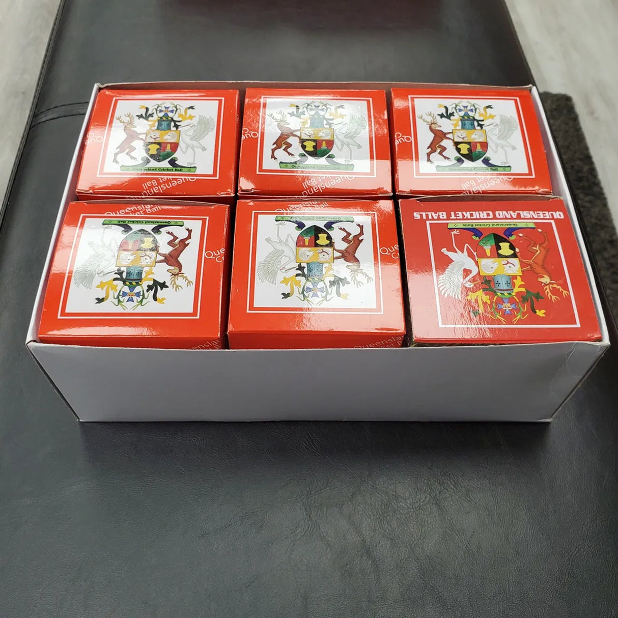 Pucball en salle du Queensland