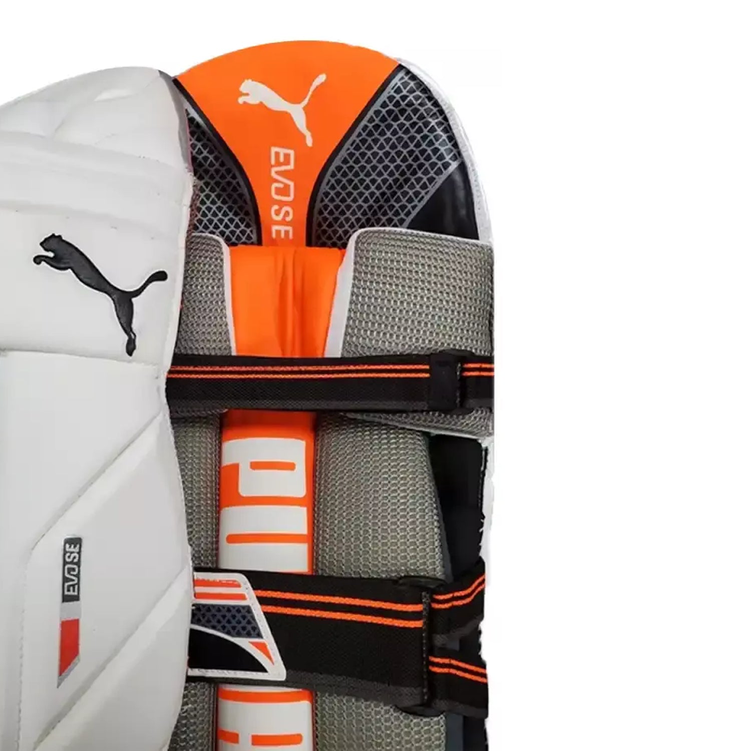 Tapis de frappe Puma EVO SE