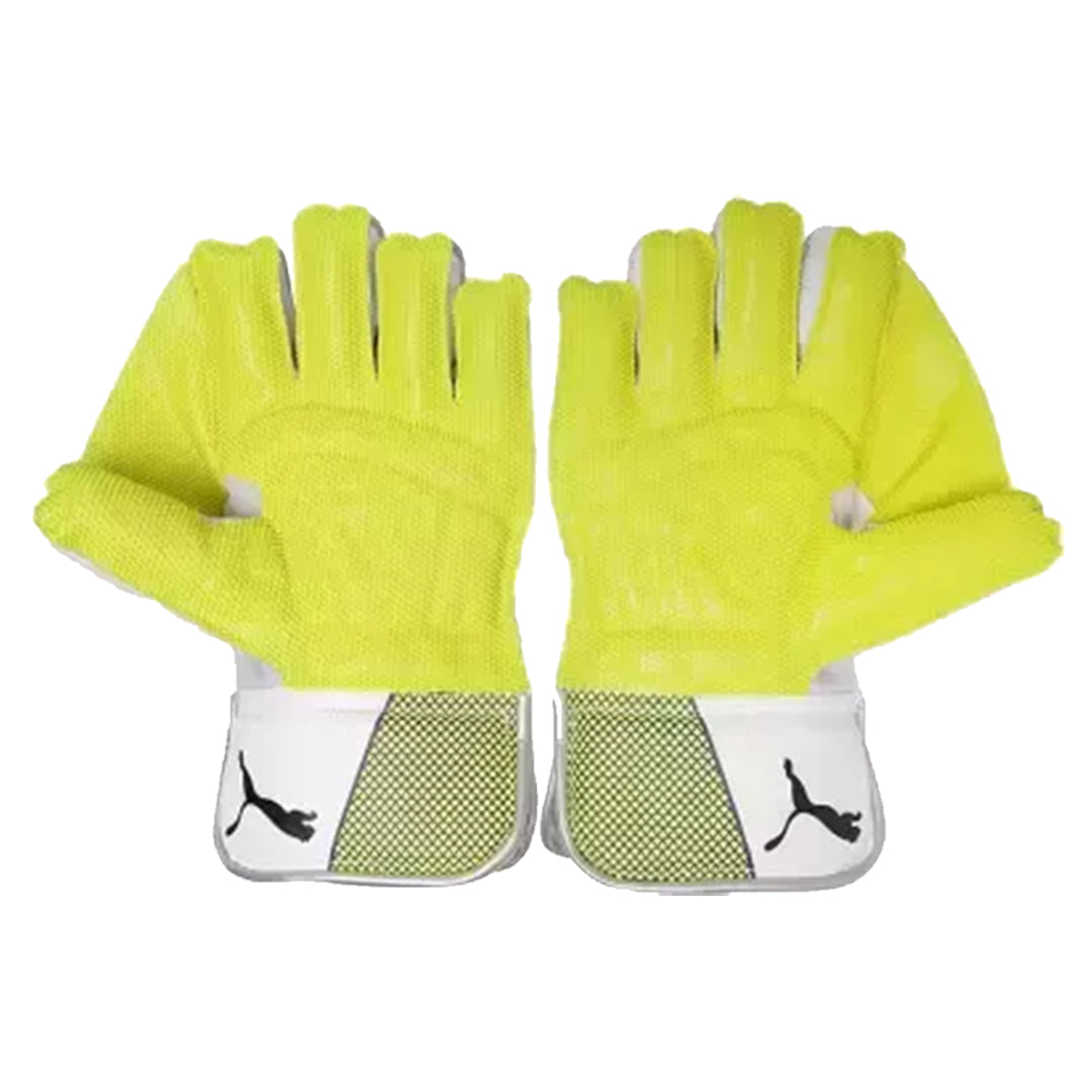 EVO 3 Wicket Keeper glove