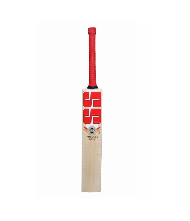 SS Pollard Player Kashmir Willow Cricket Bat