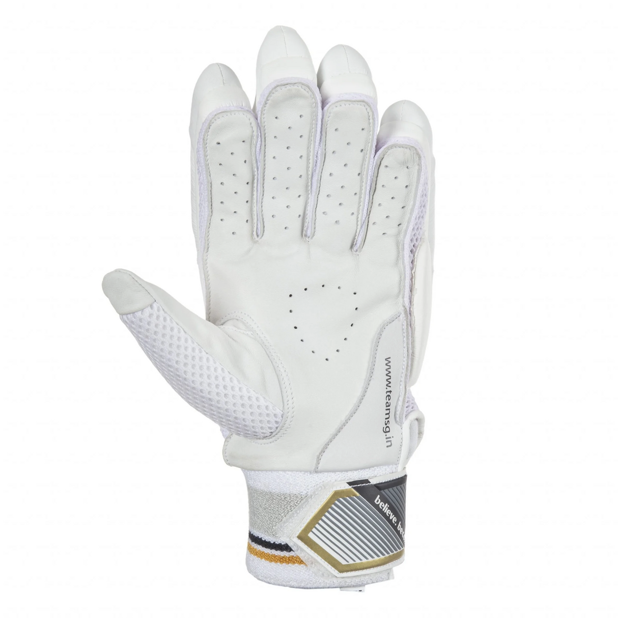 SG Test Pro Batting gloves