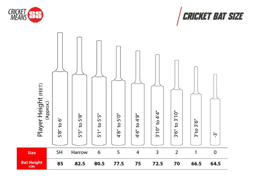 Batte de cricket SS Master 1500 en saule anglais - SH