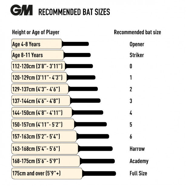 GM VERVA Cricket Bat - 808 SH
