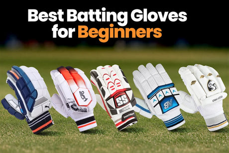 Best Batting Gloves for Beginners