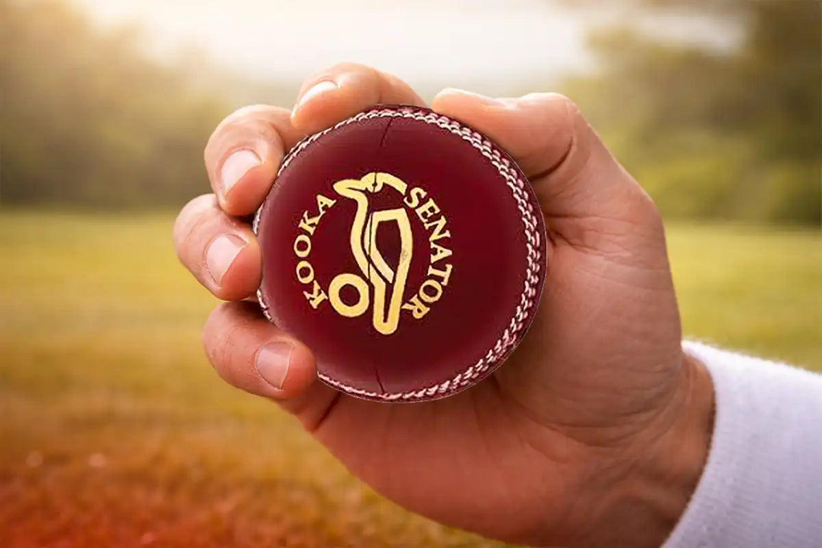 Close-up of a player holding a leather cricket ball, checking seam and condition before a game
