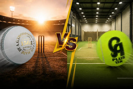 Leather vs Tennis Cricket Balls