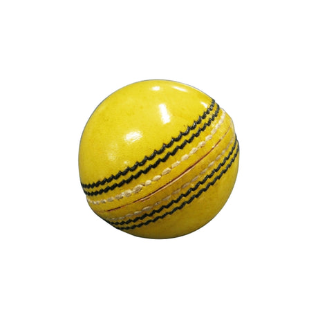 Kookaburra Indoor Puc ball