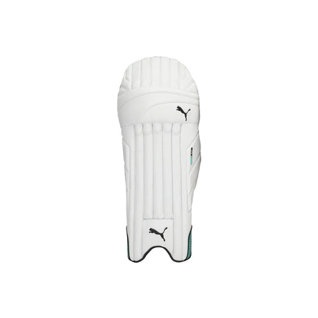 Puma EVO 1 Batting pad