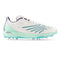 Spikes Shoes