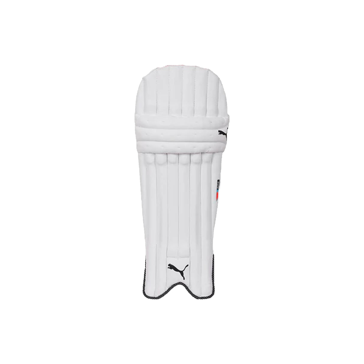 Puma Evo 6 Youth Batting Pads