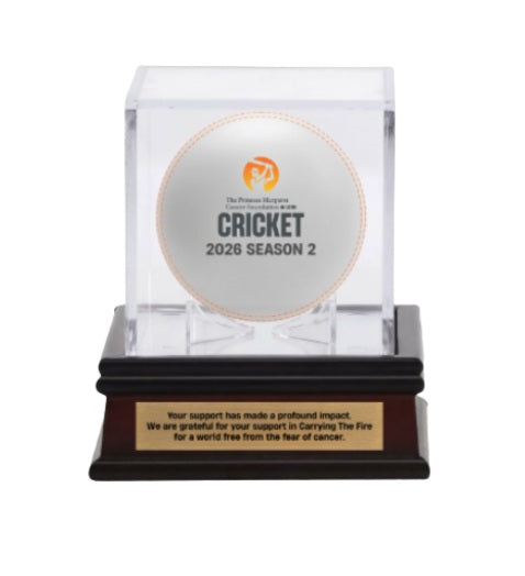 Strees Cricket Ball In Case