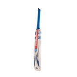 Batte de cricket adulte Hypernova Gen 1.1 5 étoiles Lite