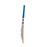 Batte de cricket adulte Hypernova Gen 1.1 5 étoiles Lite