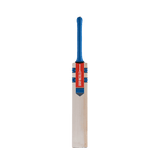 Batte de cricket adulte Hypernova Gen 1.1 5 étoiles Lite