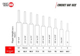 SS Master 1000 English Willow Cricket Bat