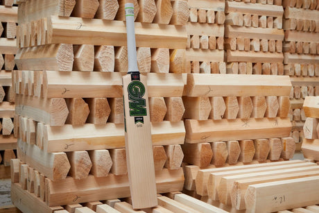GM Saim Ayub Player's Edition Cricket Bat
