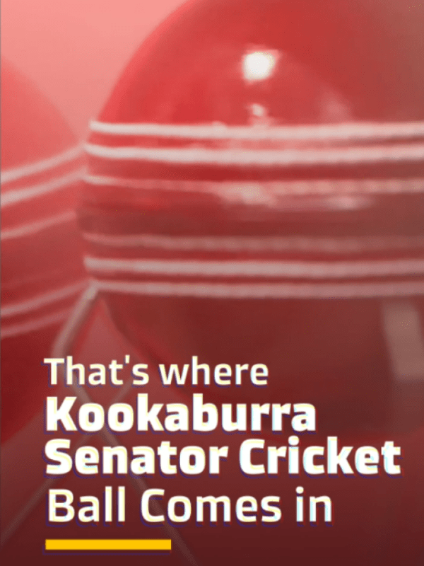 kookaburra cricket ball